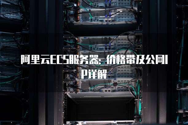 阿里云ECS服务器: 价格带及公网IP详解