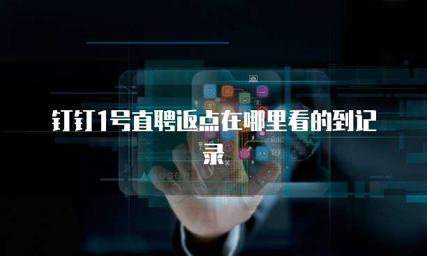 钉钉1号直聘返点在哪里看的到记录
