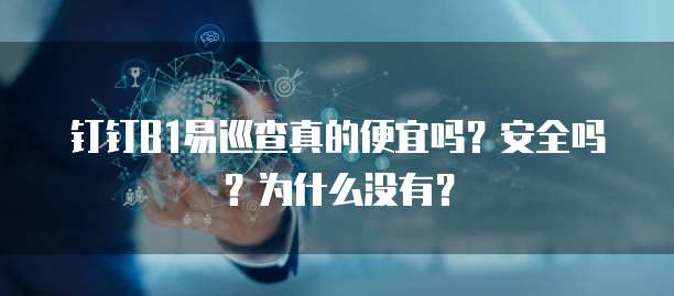 钉钉B1易巡查真的便宜吗?安全吗?为什么没有?