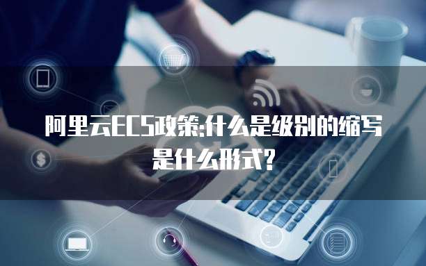 阿里云ECS政策:什么是级别的缩写是什么形式?