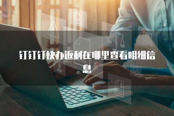 钉钉钉快办返利在哪里查看明细信息