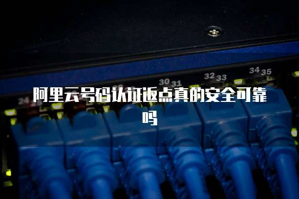 阿里云号码认证返点真的安全可靠吗