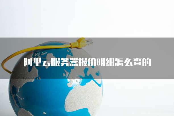 阿里云服务器报价明细怎么查的
