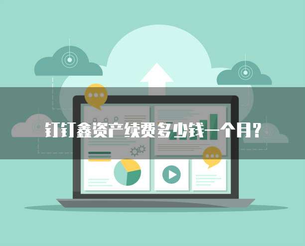 钉钉鑫资产续费多少钱一个月?