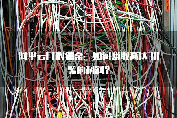 阿里云CDN佣金:如何赚取高达30%的利润?
