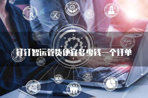 钉钉智运管货便宜多少钱一个订单