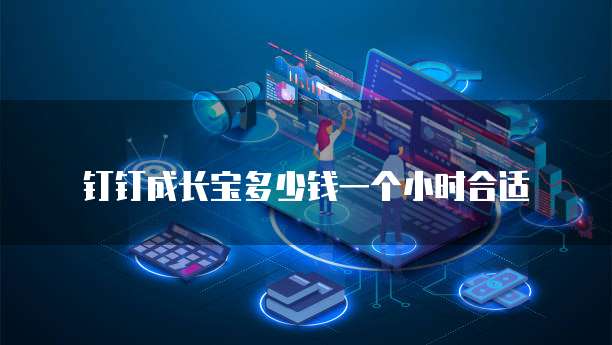 钉钉成长宝多少钱一个小时合适