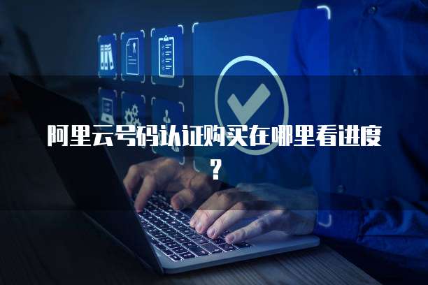 阿里云号码认证购买在哪里看进度?