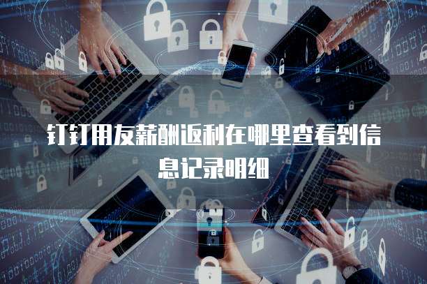 钉钉用友薪酬返利在哪里查看到信息记录明细