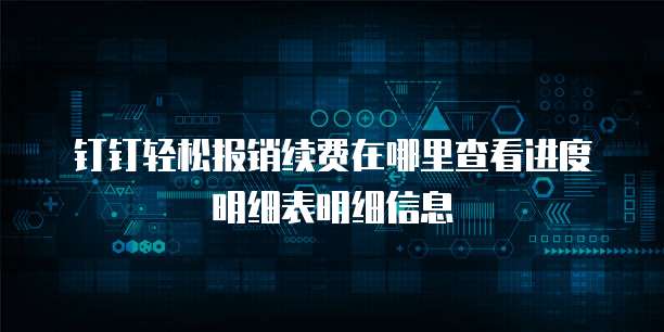 钉钉轻松报销续费在哪里查看进度明细表明细信息
