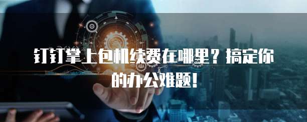 钉钉掌上包机续费在哪里？搞定你的办公难题！