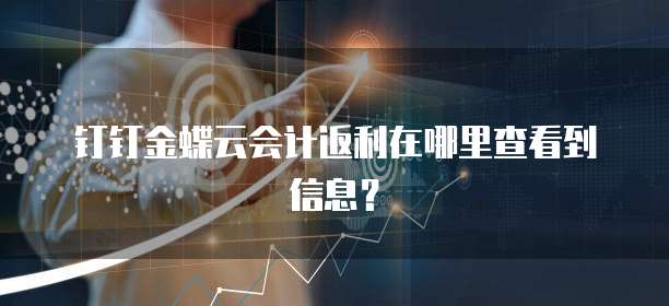 钉钉金蝶云会计返利在哪里查看到信息?