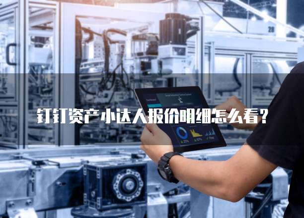 钉钉资产小达人报价明细怎么看?