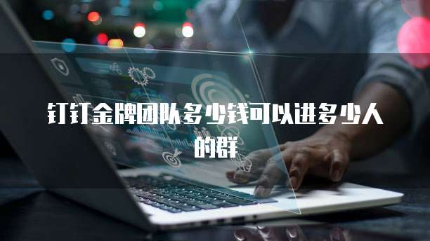 钉钉金牌团队多少钱可以进多少人的群