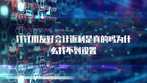 钉钉用友好会计返利是真的吗为什么找不到设置