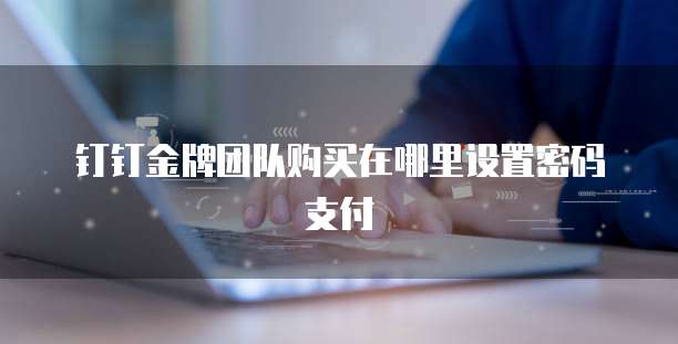 钉钉金牌团队购买在哪里设置密码支付