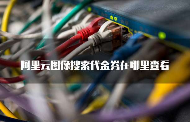 阿里云图像搜索代金券在哪里查看