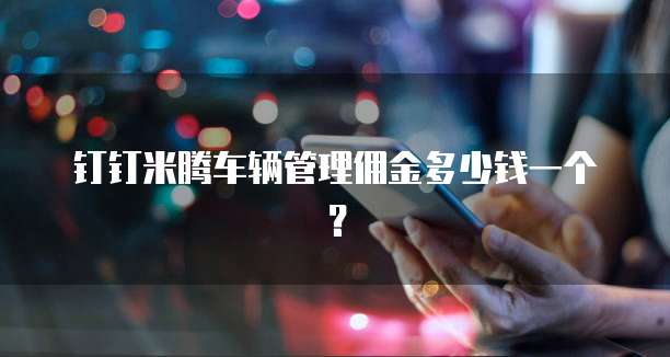 钉钉米腾车辆管理佣金多少钱一个？