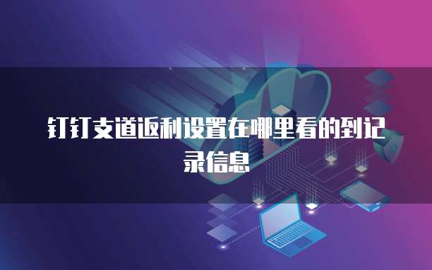 钉钉支道返利设置在哪里看的到记录信息