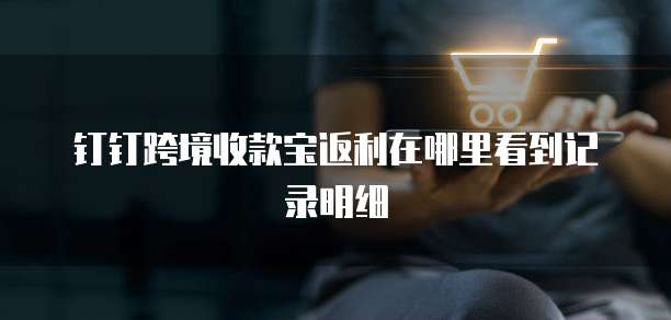 钉钉跨境收款宝返利在哪里看到记录明细