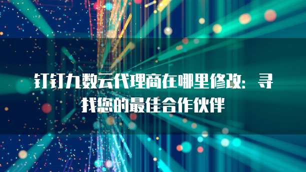 钉钉九数云代理商在哪里修改:寻找您的最佳合作伙伴
