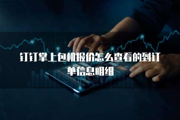 钉钉掌上包机报价怎么查看的到订单信息明细