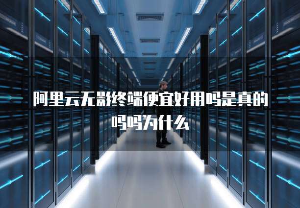 阿里云无影终端便宜好用吗是真的吗吗为什么