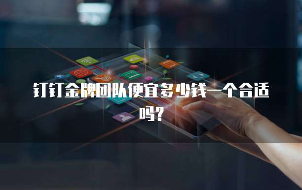 钉钉金牌团队便宜多少钱一个合适吗？