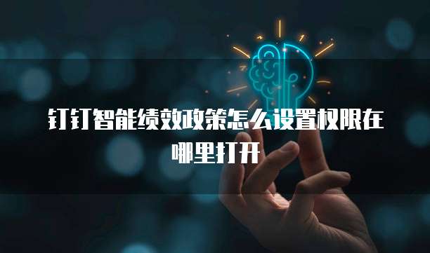 钉钉智能绩效政策怎么设置权限在哪里打开