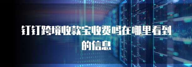 钉钉跨境收款宝收费吗在哪里看到的信息