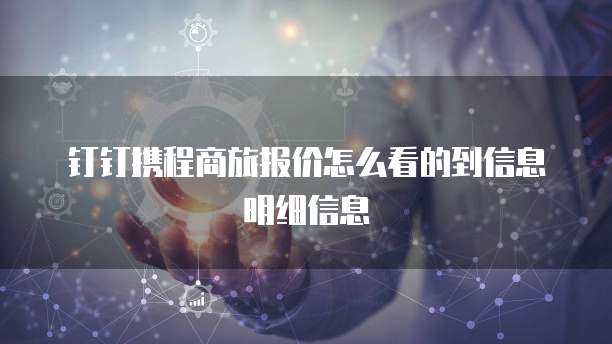 钉钉携程商旅报价怎么看的到信息明细信息
