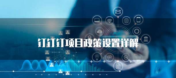 钉钉钉项目政策设置详解