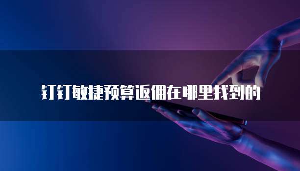 钉钉敏捷预算返佣在哪里找到的