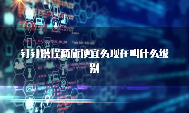 钉钉携程商旅便宜么现在叫什么级别