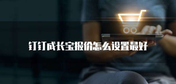 钉钉成长宝报价怎么设置最好