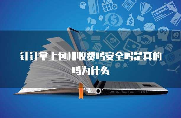 钉钉掌上包机收费吗安全吗是真的吗为什么