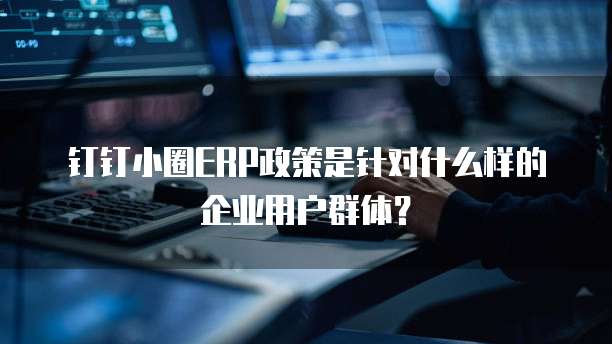 钉钉小圈ERP政策是针对什么样的企业用户群体?