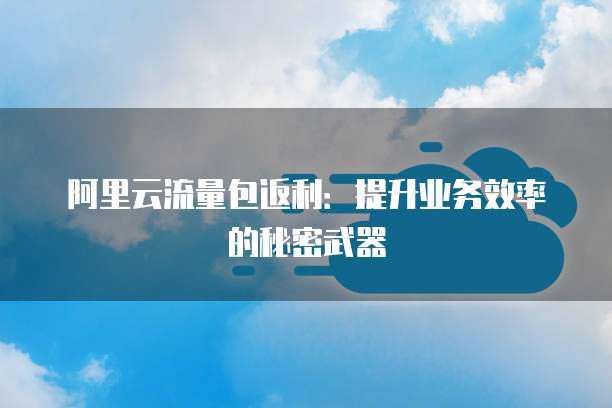 阿里云流量包返利:提升业务效率的秘密武器