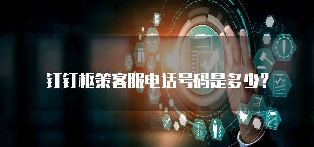 钉钉枢策客服电话号码是多少?