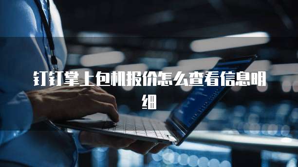 钉钉掌上包机报价怎么查看信息明细