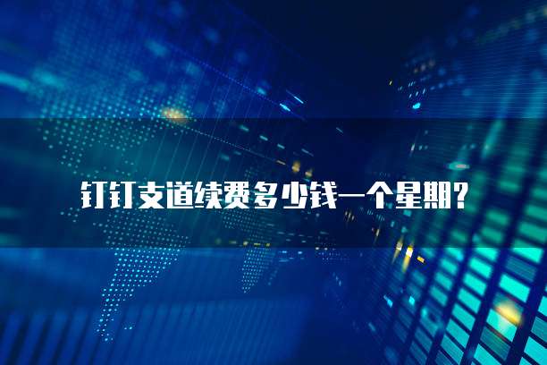 钉钉支道续费多少钱一个星期？