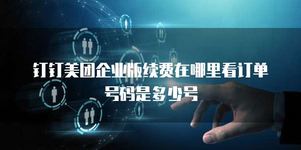 钉钉美团企业版续费在哪里看订单号码是多少号