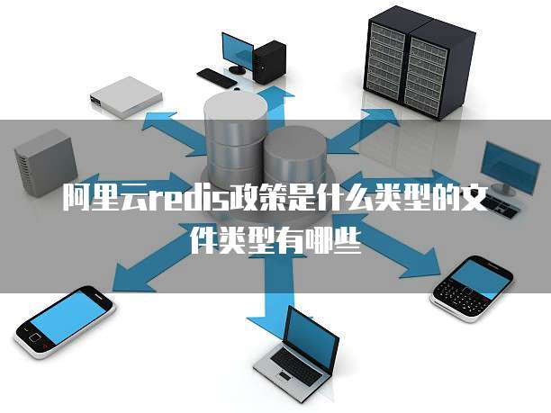 阿里云redis政策是什么类型的文件类型有哪些