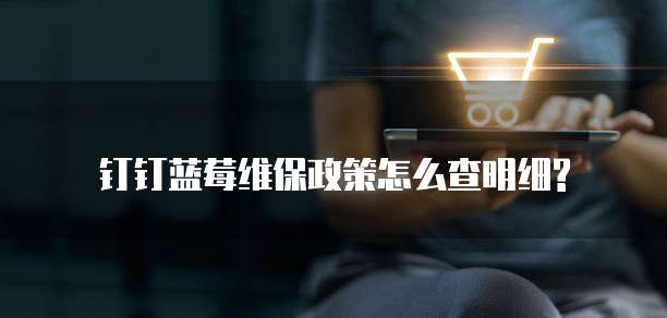 钉钉蓝莓维保政策怎么查明细?