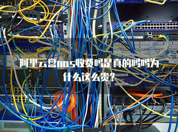 阿里云盘nas收费吗是真的吗吗为什么这么贵?
