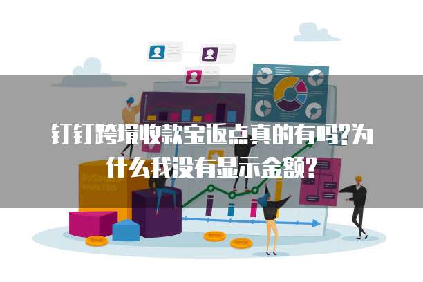 钉钉跨境收款宝返点真的有吗?为什么我没有显示金额?