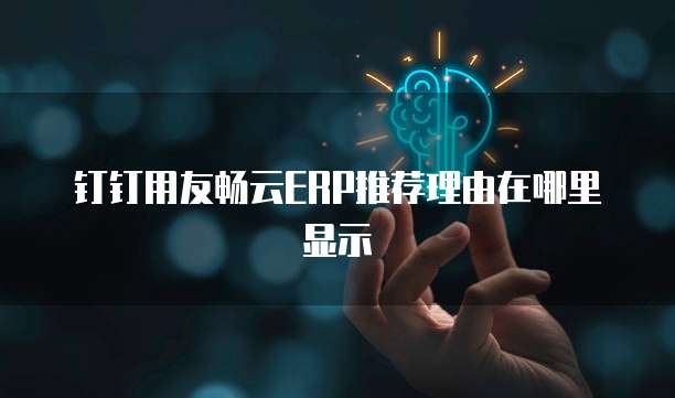 钉钉用友畅云ERP推荐理由在哪里显示