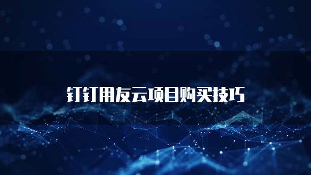 钉钉用友云项目购买技巧