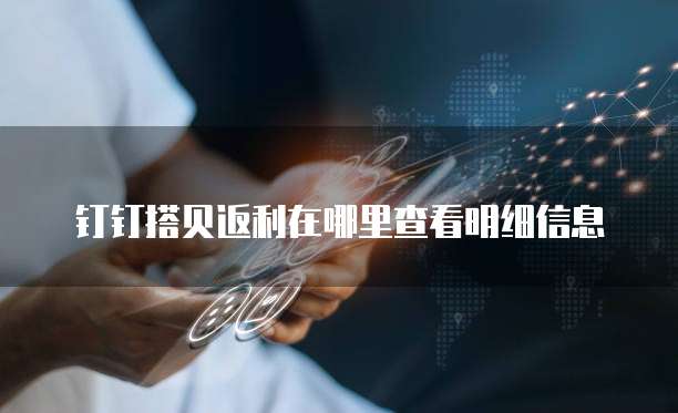 钉钉搭贝返利在哪里查看明细信息