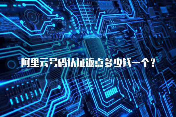 阿里云号码认证返点多少钱一个?
